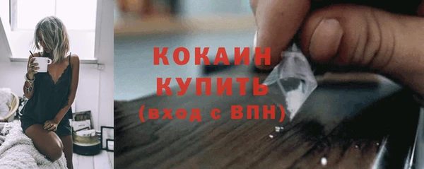 PSILOCYBIN Пересвет