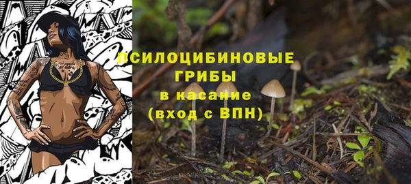 PSILOCYBIN Пересвет