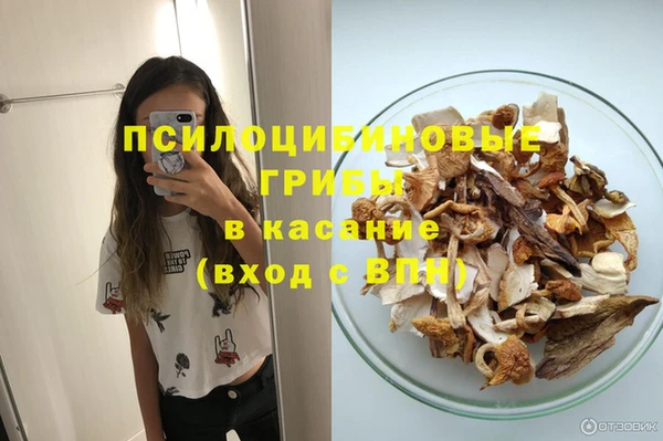 дурь Пестово